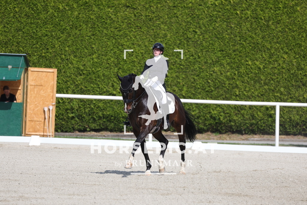 0P6A6720 | Willkommen bei Brunnmayr - Design & Fotografie – Ihrem Spezialisten für Reitturniere und Pferdeveranstaltungen in Oberösterreich, Salzburg und Bayern! Seit über 17 Jahren sind wir leidenschaftlich dabei.