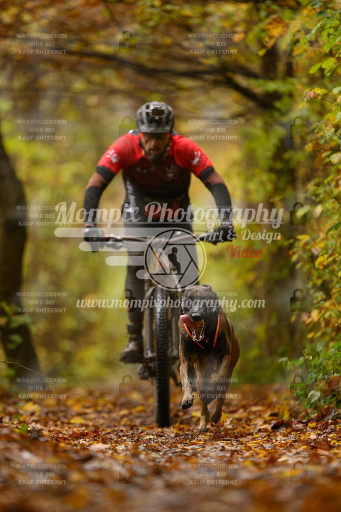 MompixPhotography_CD7S_DI_Bike-17 | mompixphotography