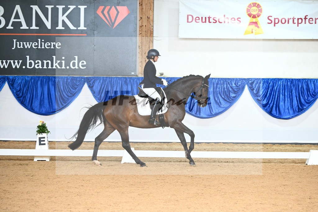 Kat-Nr. 43 Donna Galante_Scherer_14240329 | hf-fotografie - Realisiert mit Pictrs.com