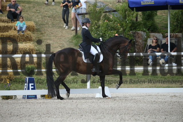 Birkhof_2022_GrandPrixSpecial_Nicole Isser_DiCaprio 4 (7) | Alle Fotos der Reiterjournal Fotografin Doris Matthaes im Reiterjournal Online-Fotoshop. - Realisiert mit Pictrs.com