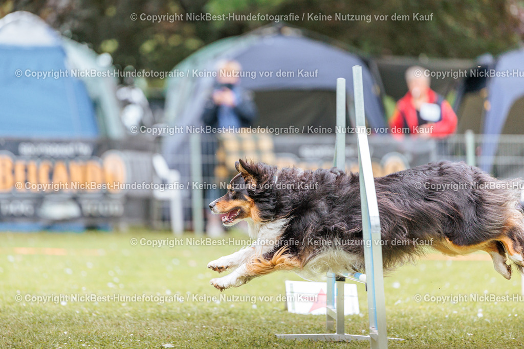 RO-Blumenthal-2026-Nickbest-Hundefotografie-2245 | Dein Hund! Dein Moment! Deine Erinnerungen! Hundefotografie in Bremen Blumenthal. Ich fange die besonderen Momente deines Vierbeiners ein – ob Indoor mit Blitzanlage oder in der freien Natur. Sicher dir dein Moment und dein Termin für eure Erinnerungen.