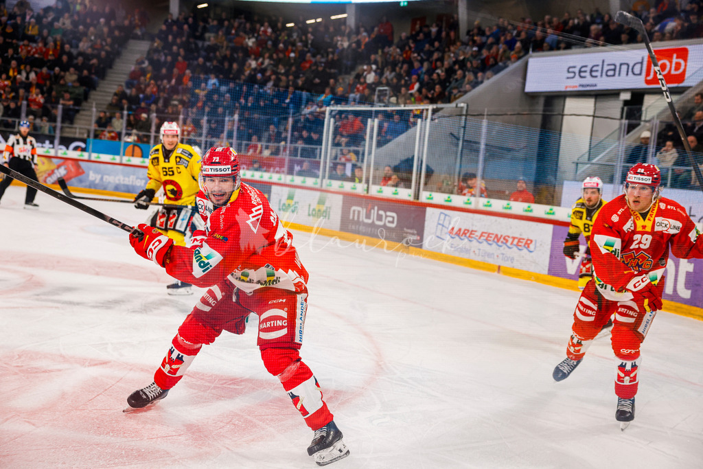 EHCB vs SCB 20260110_wb-3291 | Sportbilder, Sportfotograf, Hochzeits- und Eventfotografin, Flugshows, Portraits und Tiershooting, Aviation, Downhill, Nationalleague, Swissleague, International