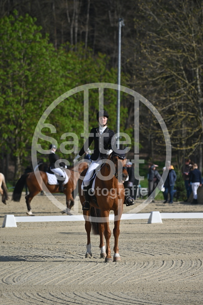 DSC_9893 | sattelsport - Realisiert mit Pictrs.com