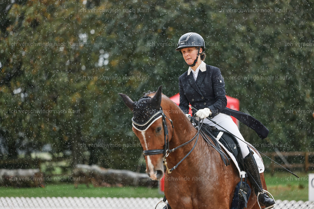 8_2-149-DRESSUR S_  -StoibPH-4482 | working equitationturnier fotograf videograf stoibphotography marixx film working equitation deutschland reitsport turnierfotografie eventfotografie equestrian events