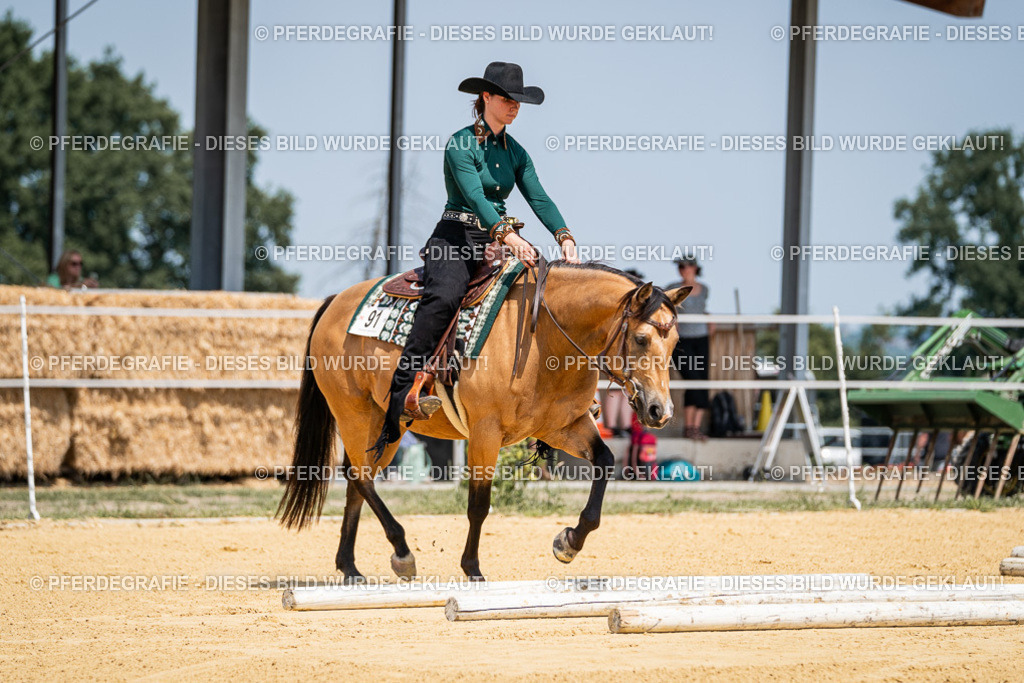 DSC01350 | Pferdegrafie