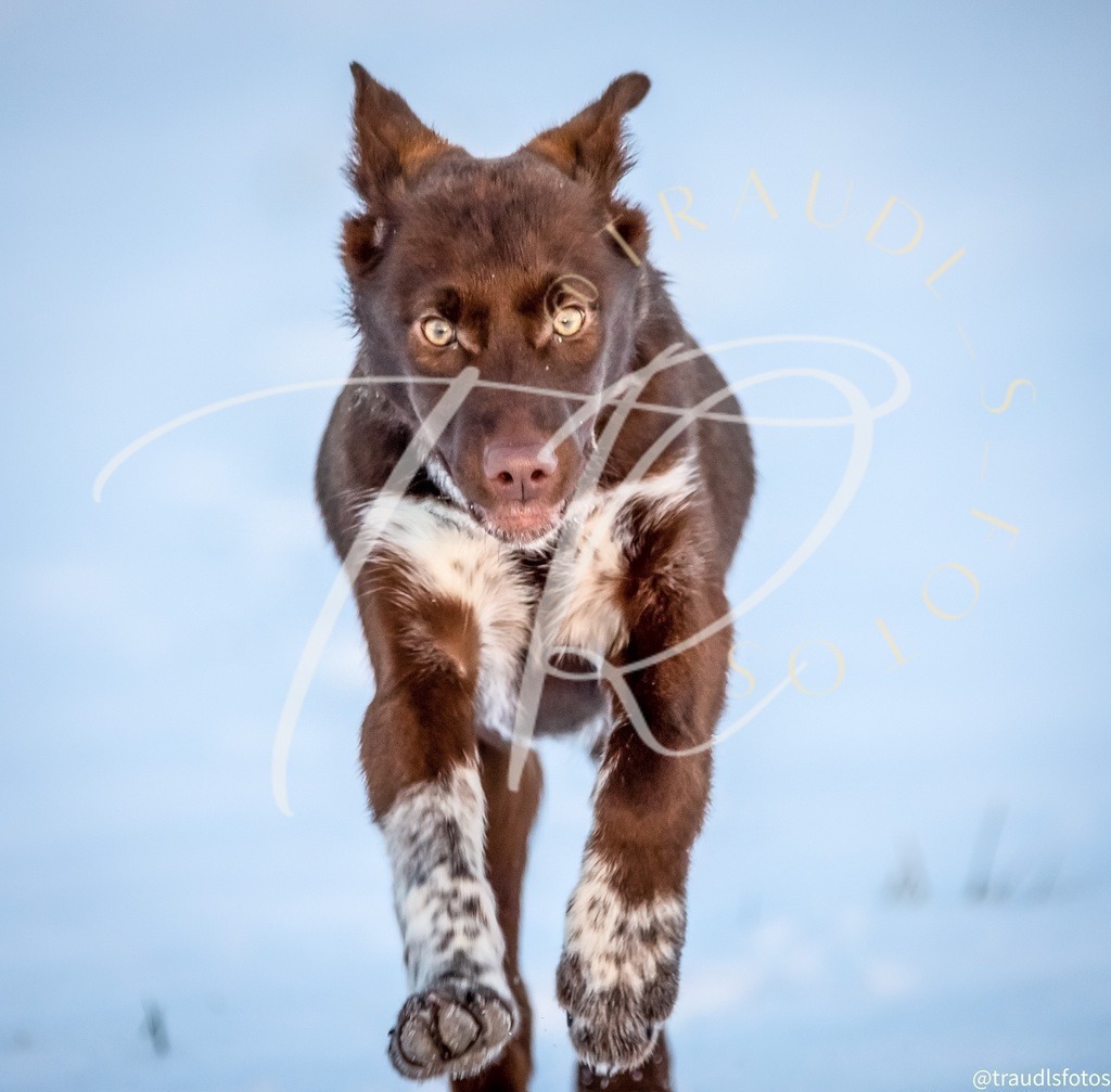 3B3F86CC-6B1E-4C77-92FE-D21728D1453A | traudl_s_fotos