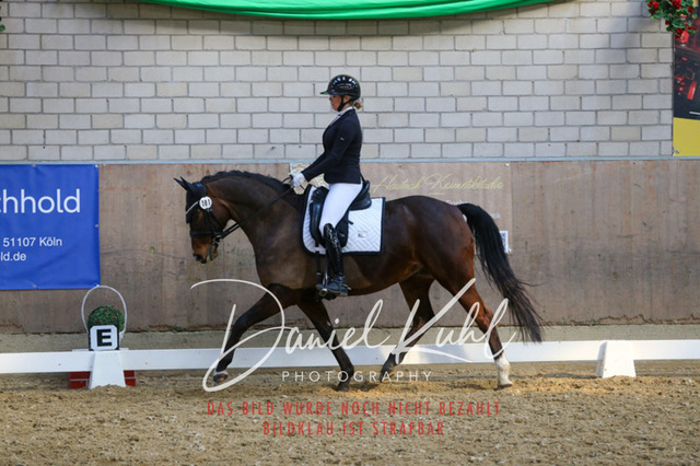 IMG_2572 | Turnierfotos kaufen im Webshop von Daniel Kuhl Photography – entdecke professionelle Reitsportfotos aus Turnieren & Events. Hochwertige Turnierbilder online bestellen & sichern. Jetzt Fotos von Reitsportturnieren kaufen!