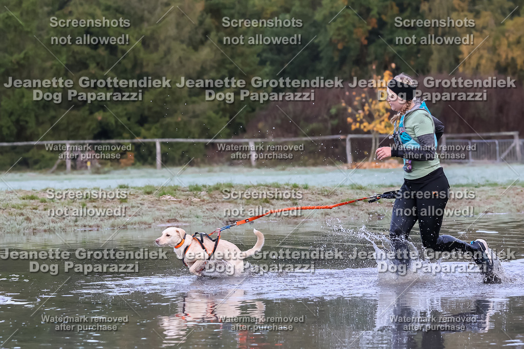 Dog Paparazzi - Strongdog 10-25-6241 | Dog Paparazzi Jeanette Grottendiek Fotografie & Videografie - Realisiert mit Pictrs.com