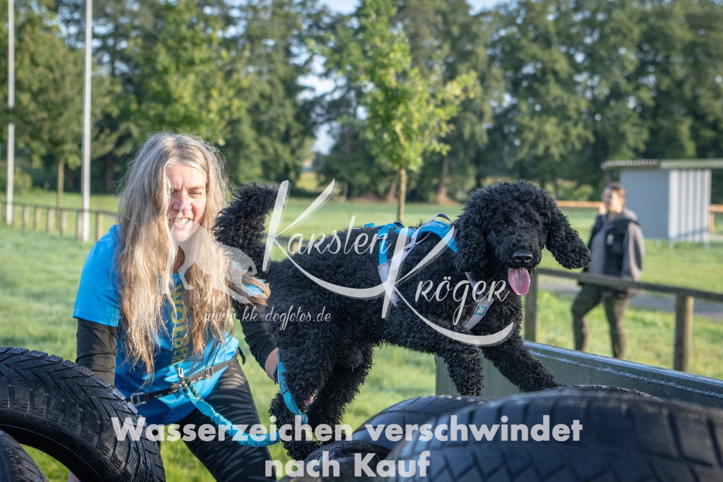 0824_ZZ91278 | kk-dogfotos