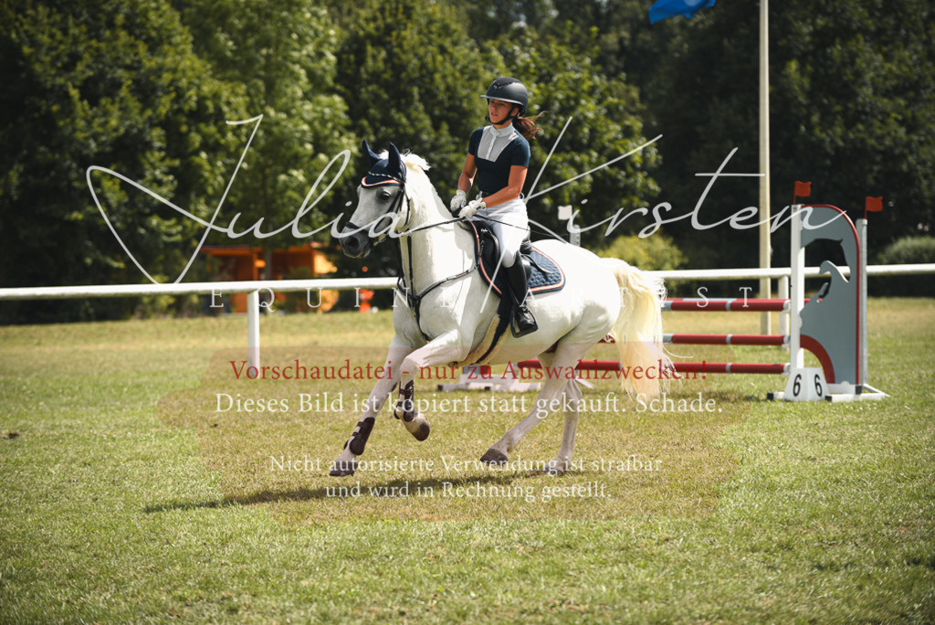 DSC_6742 | Pferde- und Turnierfotografie in Westsachsen. Pferdeportraits, Auftragszeichnungen und intuitive Kunst.
