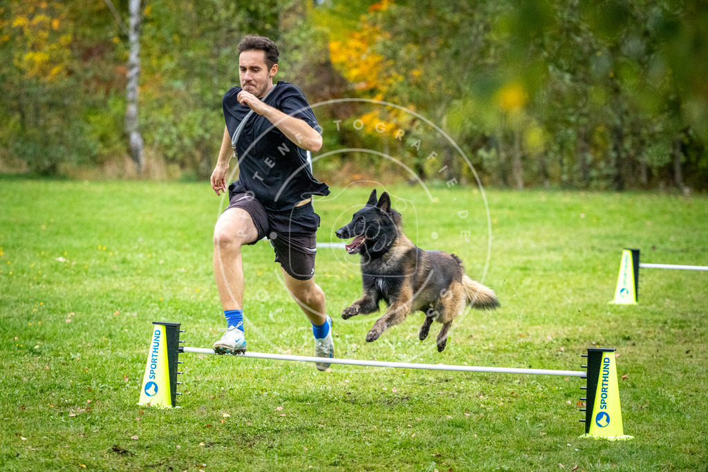 Pfotenfotografie_DV3A1510 | Hundefotografie, Tierfotograf, Pfotenfotografie, Fotoshooting Hund, Hunde Portrait, Hundesport, Hundeportraits, Heideshooting, Hunde, Sportfotograf, Hundefotograf, Turnierhundsport, THS,  - Realisiert mit Pictrs.com