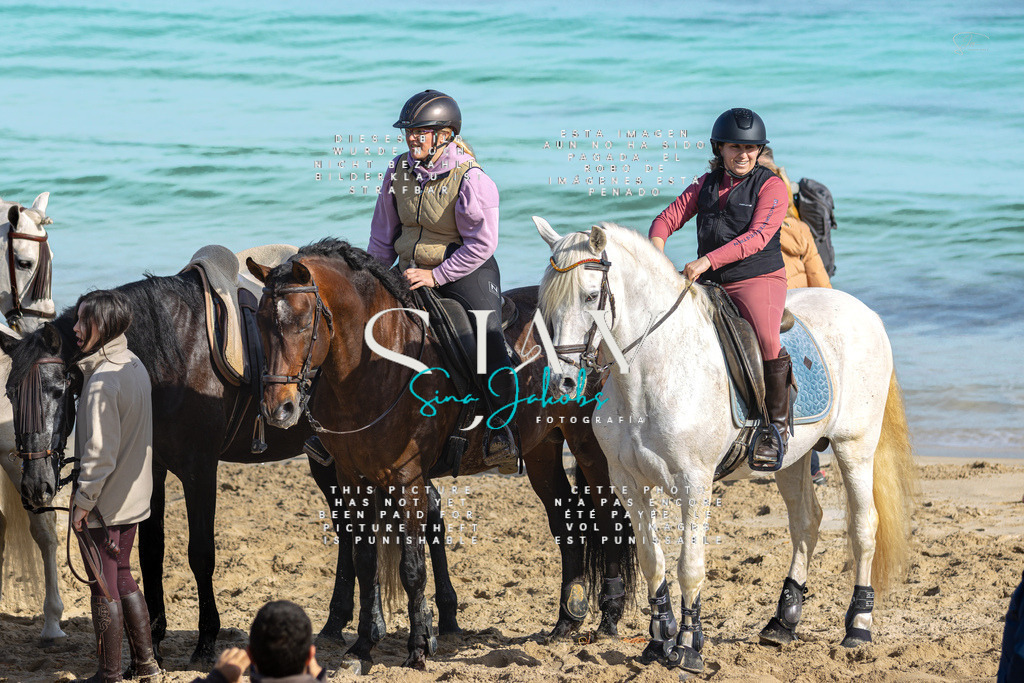 IMG_3322 | s-jay-photography - Realisiert mit Pictrs.com