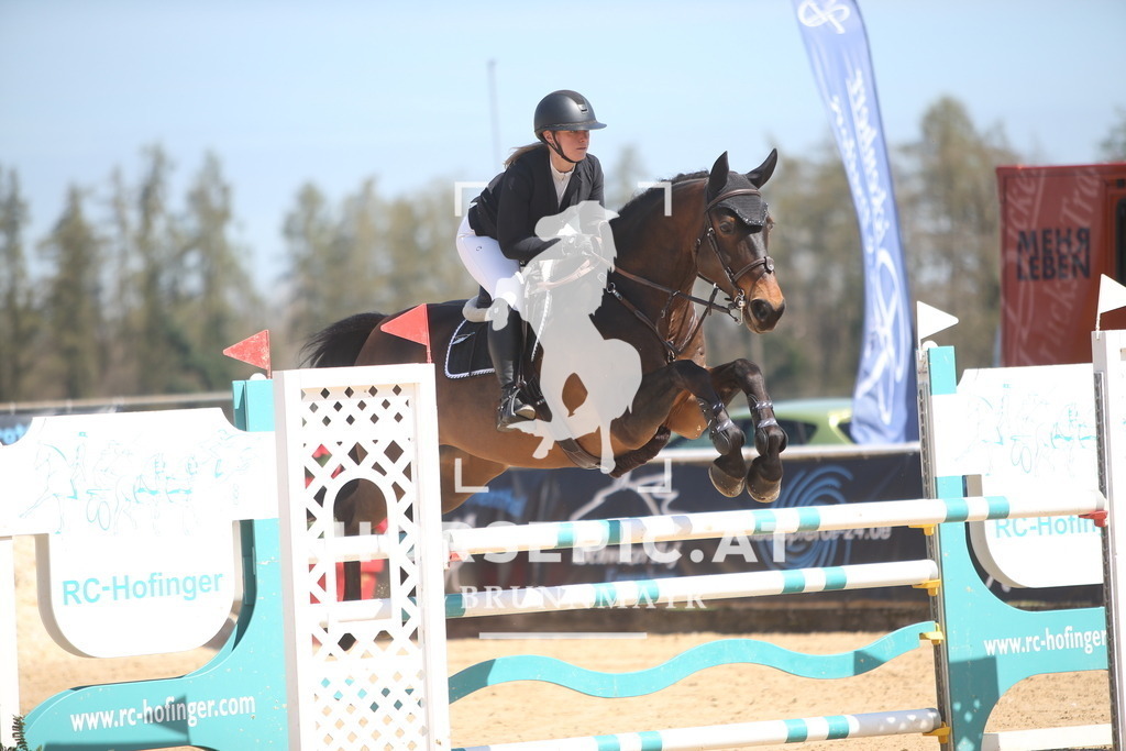 PP014549 | Willkommen bei Brunnmayr - Design & Fotografie – Ihrem Spezialisten für Reitturniere und Pferdeveranstaltungen in Oberösterreich, Salzburg und Bayern! Seit über 17 Jahren sind wir leidenschaftlich dabei.