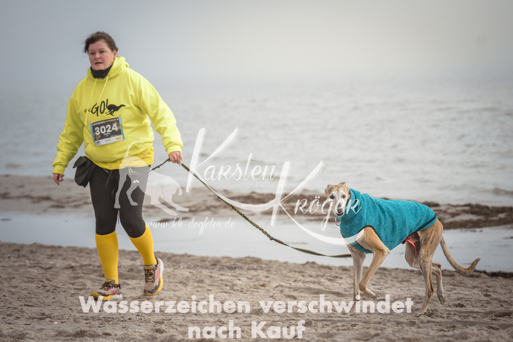 1135_ZZ99517 | kk-dogfotos