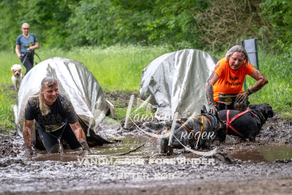 1253_ZZ94080 | kk-dogfotos