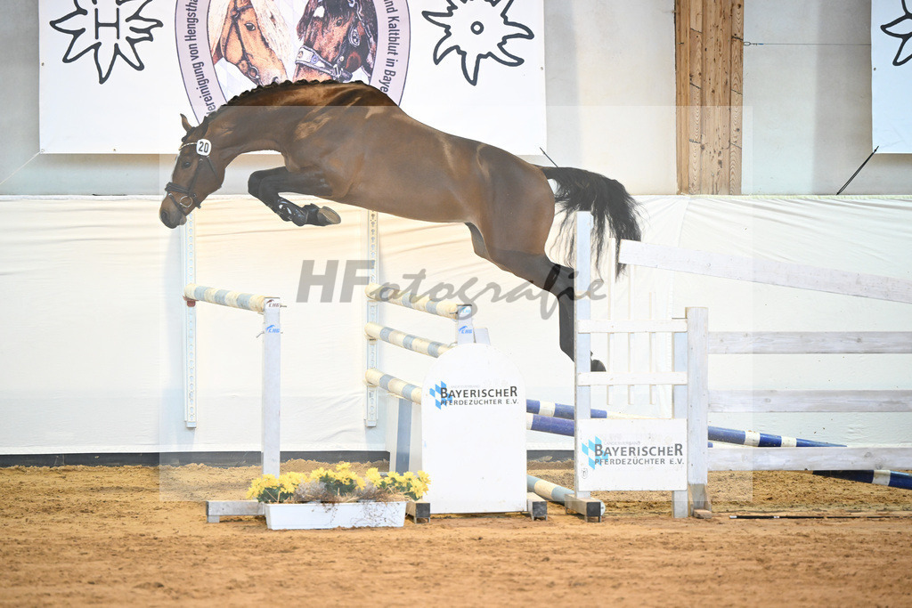 Kat-Nr. 20 v. Million Dollar_Eisenrieder_2230457 | hf-fotografie - Realisiert mit Pictrs.com