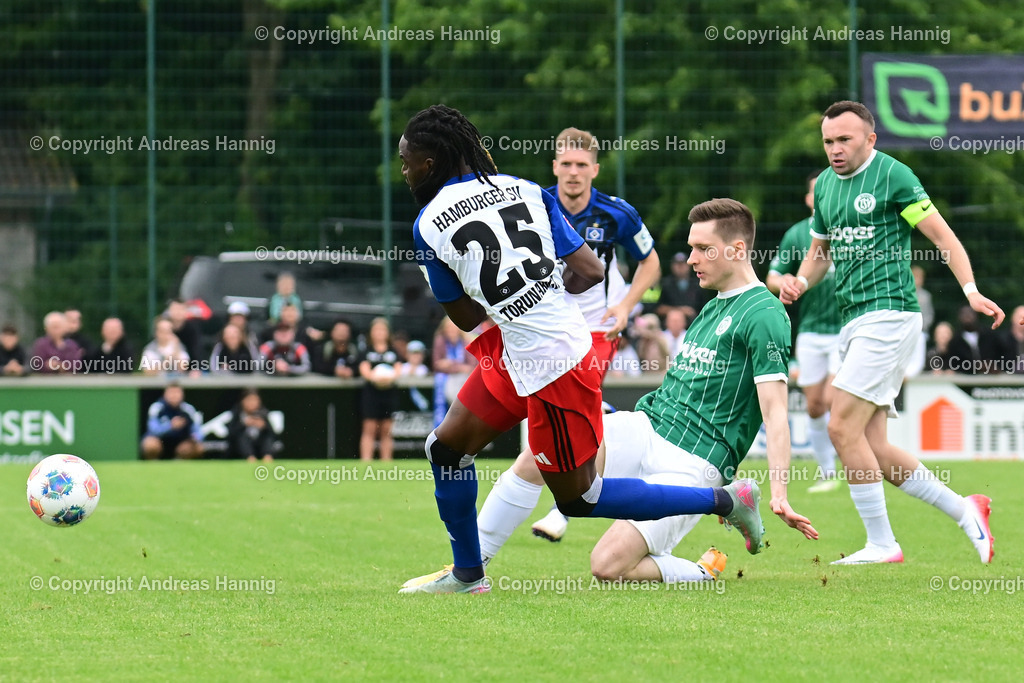 Fußball I Herren I Testspiel  I TSV Elstorf - Hamburger SV I 5.7.2025 | a-hannig - Realisiert mit Pictrs.com