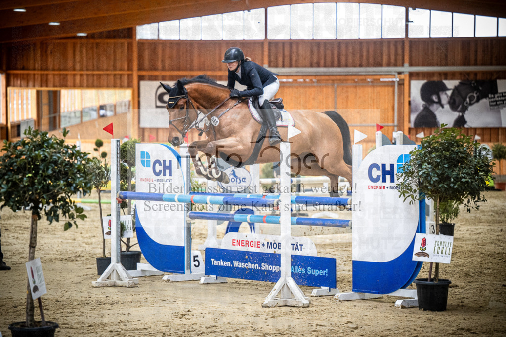 DOS_1503 | Entdecke hochwertige Reitturnierfotos von Foto Oger. Professionell, emotional und authentisch – jetzt Lieblingsmomente im Shop bestellen.Deutschlandweite Turnierfotografie. - Realisiert mit Pictrs.com