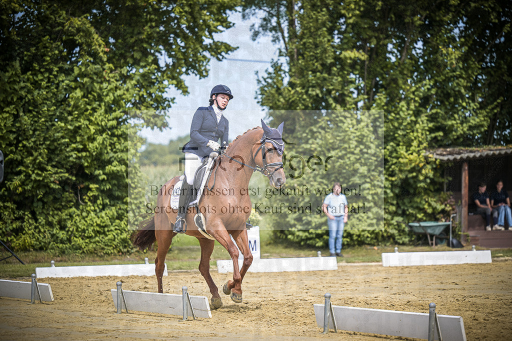 DOS_2532 | Entdecke hochwertige Reitturnierfotos von Foto Oger. Professionell, emotional und authentisch – jetzt Lieblingsmomente im Shop bestellen.Deutschlandweite Turnierfotografie. - Realisiert mit Pictrs.com
