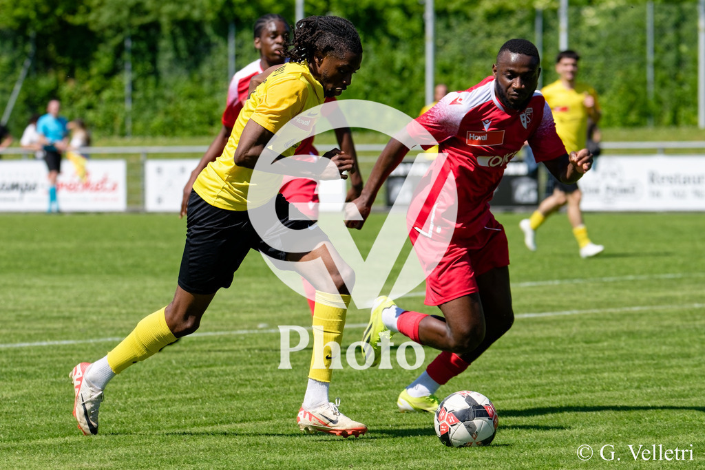 DSC_7718_M | Velletri Photo