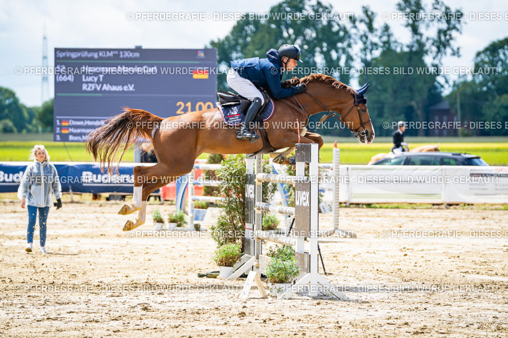 DSC04913 | Pferdegrafie