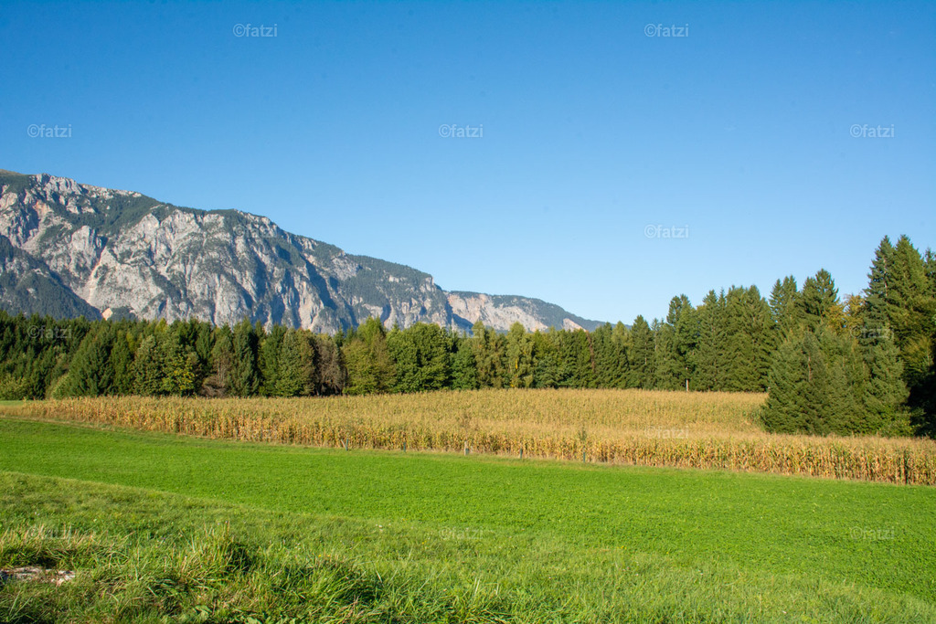 Dobr Panorama 2025 (Hohenthurn)_171743__fatzi | Fatzi Bilder-Archiv! 
Die Bilder sind für private Nutzung lizenzfrei. Die kommerzielle Nutzung ist möglich und erwünscht, jedoch bitte ich um vorherige Kontaktaufnahme per E-Mail (info@fatzi.at) oder unter +43 650 7828269 - Realisiert mit Pictrs.com