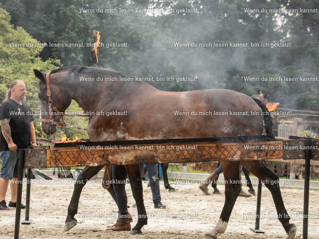 598A7114 | photographylinaismer - Realisiert mit Pictrs.com