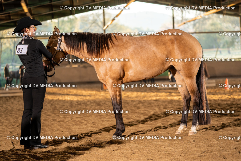 Balingen Tag 1-175 | dv-media-shop - Realisiert mit Pictrs.com