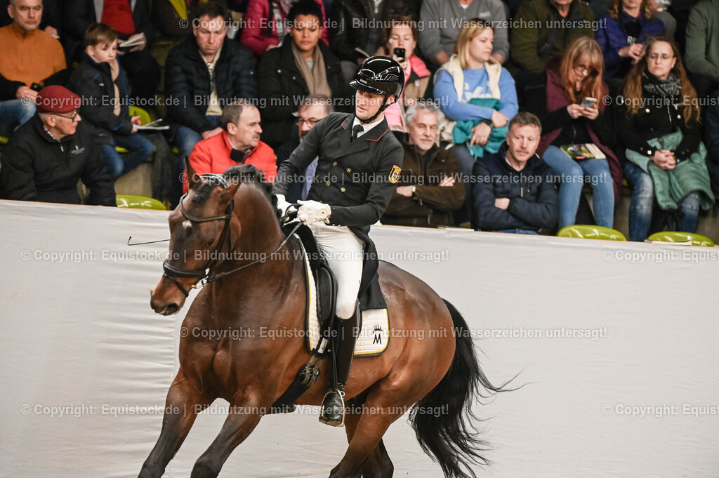 20260307_Hengstvorstellung-Marbach_0374 | equistock