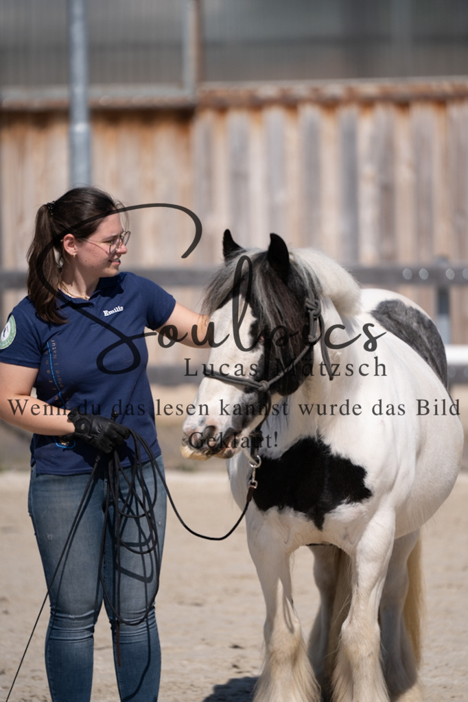 A7V01883 | Pferdefotograf