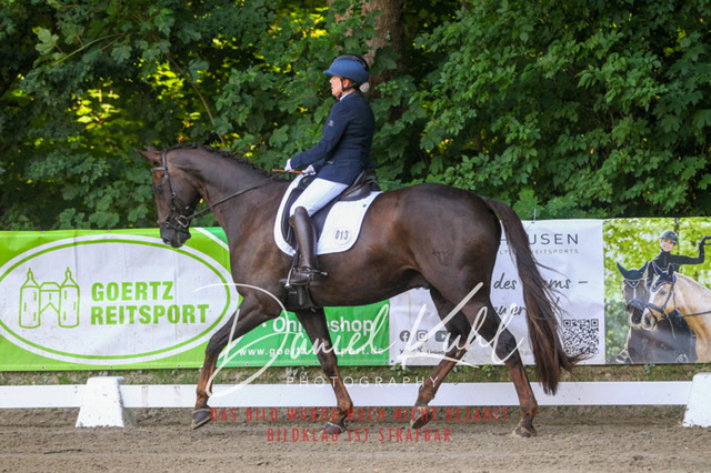 DKP42891 | Turniersportfotografie; Pferdefotografie; Dressurfotografie