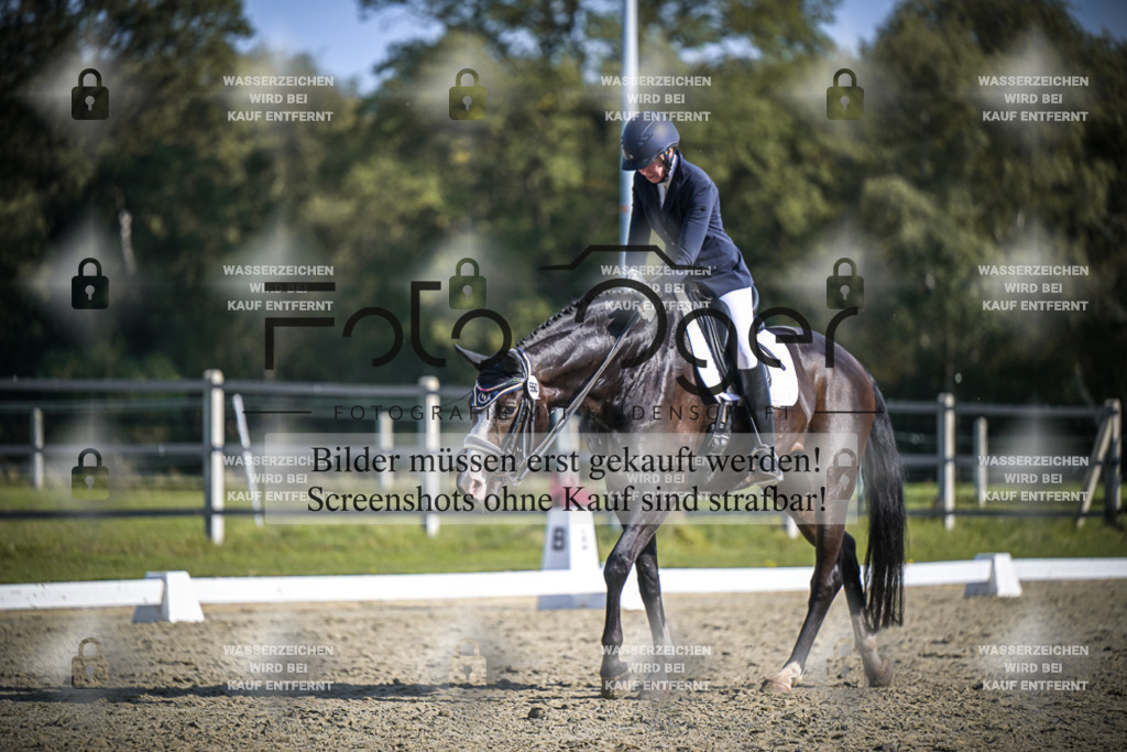 DOS_2561 | Entdecke hochwertige Reitturnierfotos von Foto Oger. Professionell, emotional und authentisch – jetzt Lieblingsmomente im Shop bestellen.Deutschlandweite Turnierfotografie. - Realisiert mit Pictrs.com