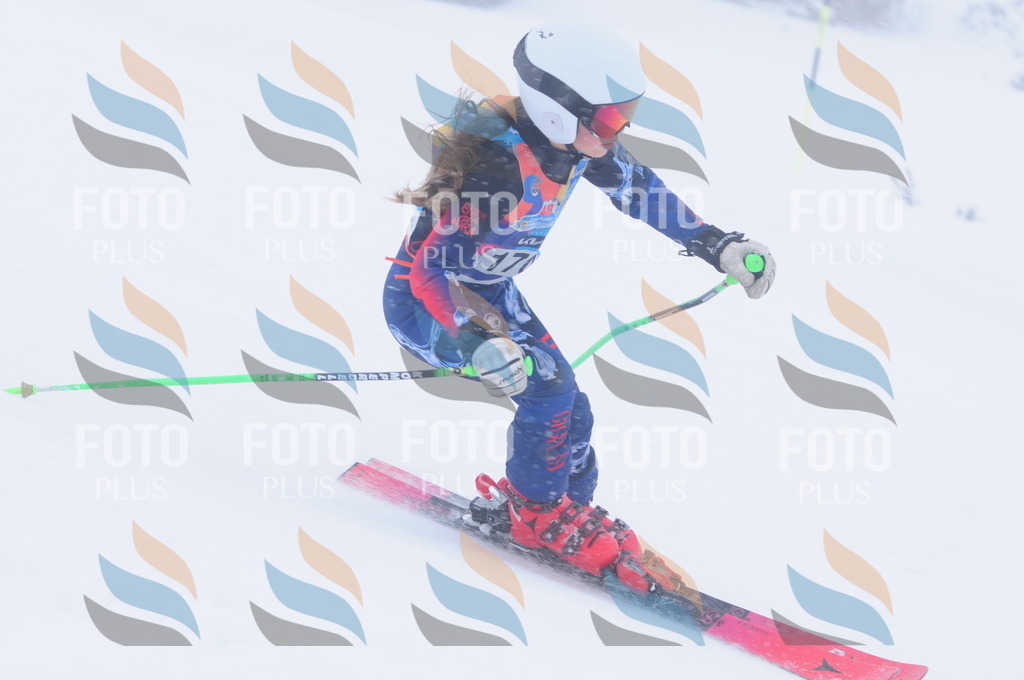 C1995 | holidayphoto