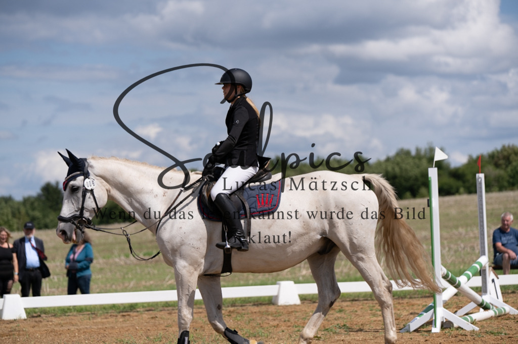 A7V03141 | Pferdefotograf