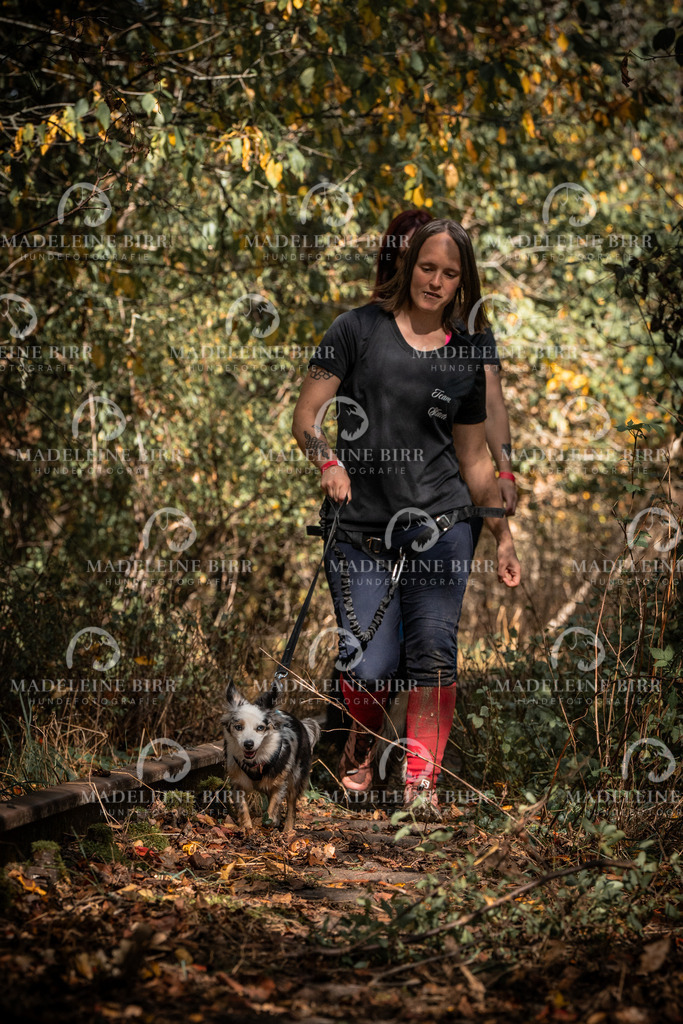 madeleinebirr.fotografie.2026.cc.hunsrueck.12-13Uhr.321 | hundefotografie-birr