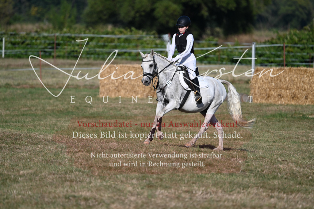 DSC_8962 | Pferde- und Turnierfotografie in Westsachsen. Pferdeportraits, Auftragszeichnungen und intuitive Kunst.