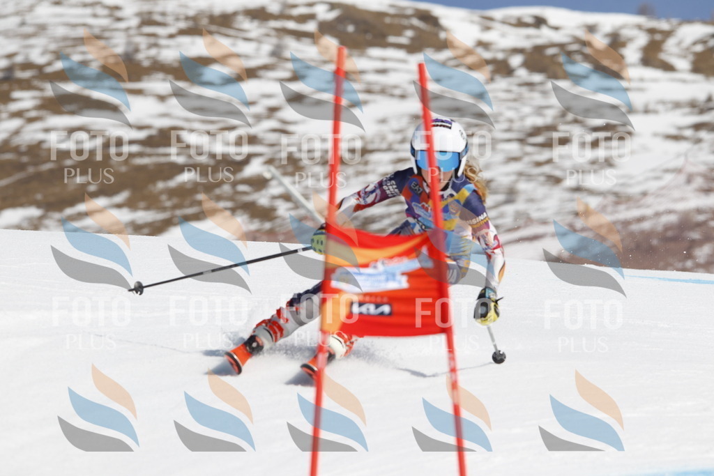 _U3G0714 | holidayphoto