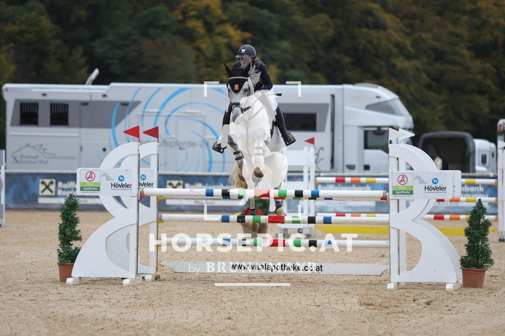 0P6A0415 | Willkommen bei Brunnmayr - Design & Fotografie – Ihrem Spezialisten für Reitturniere und Pferdeveranstaltungen in Oberösterreich, Salzburg und Bayern! Seit über 17 Jahren sind wir leidenschaftlich dabei.