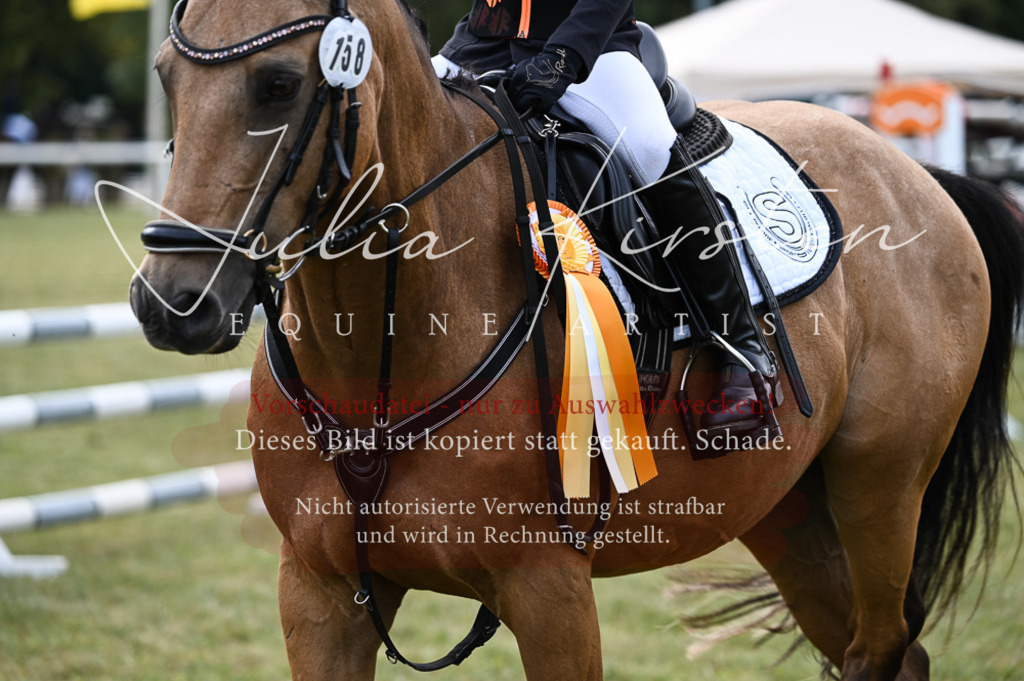 DSC_5784-2 | Pferde- und Turnierfotografie in Westsachsen. Pferdeportraits, Auftragszeichnungen und intuitive Kunst.