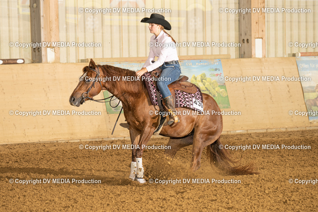 LAU00624 | dv-media-shop - Realisiert mit Pictrs.com