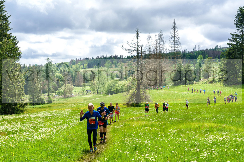 Rennsteiglauf Marathon 2024 | 25. Mai 2024 - 42,2 km von Neuhaus nach Schmiedefeld