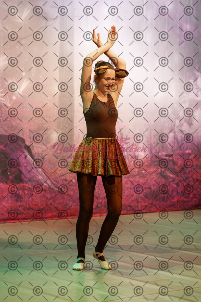 Ballettaufführung-1212 | Bildershop Lem'n Entertainment - Realisiert mit Pictrs.com