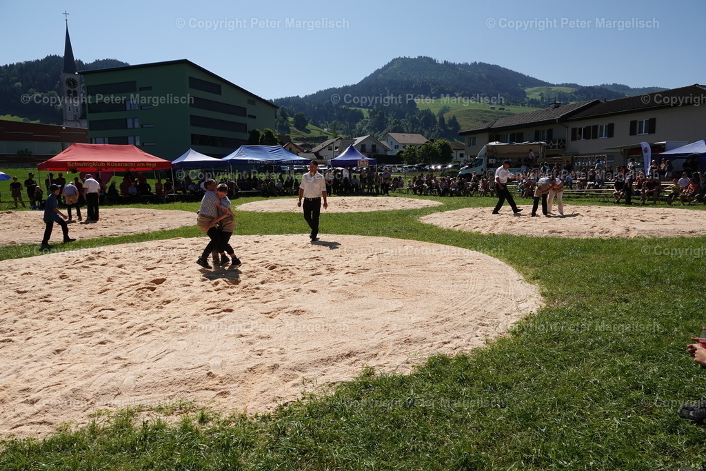 DSC04703 | Schwingen - Realisiert mit Pictrs.com