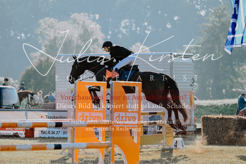 DSC_4325 | Pferde- und Turnierfotografie in Westsachsen. Pferdeportraits, Auftragszeichnungen und intuitive Kunst.
