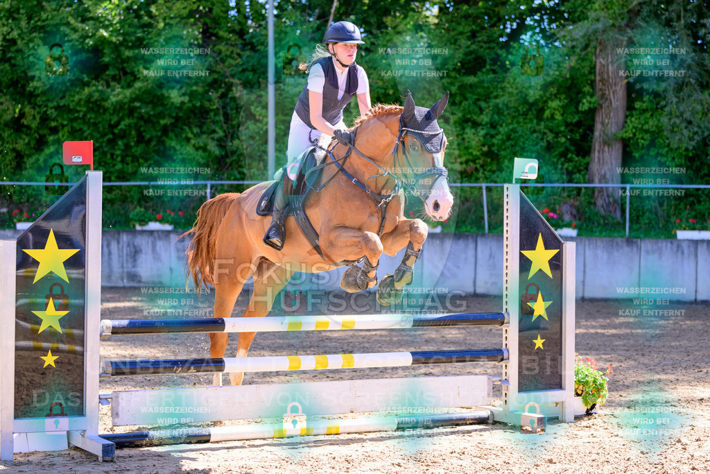 29082026-Giesenbach-Prfg10-0103 | Fokus Hufschlag Fotografie - Realisiert mit Pictrs.com