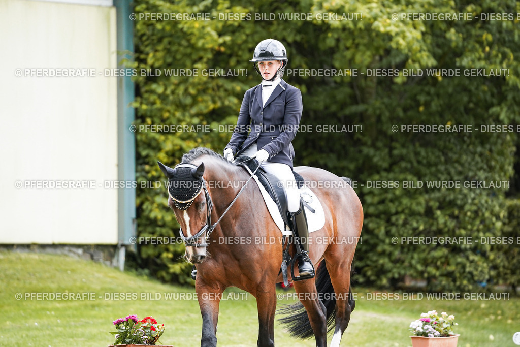 DSC07878 | Pferdegrafie