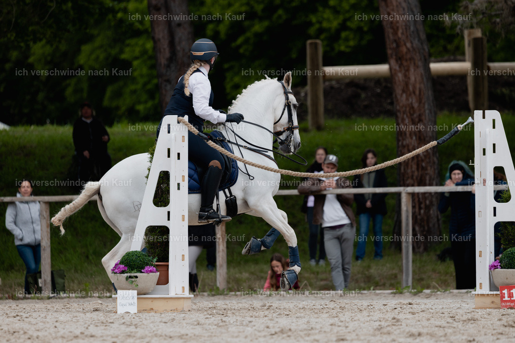 PI26_SP_StoibphotographyC2_C0482.jpg | working equitationturnier fotograf videograf stoibphotography marixx film working equitation deutschland reitsport turnierfotografie eventfotografie equestrian events