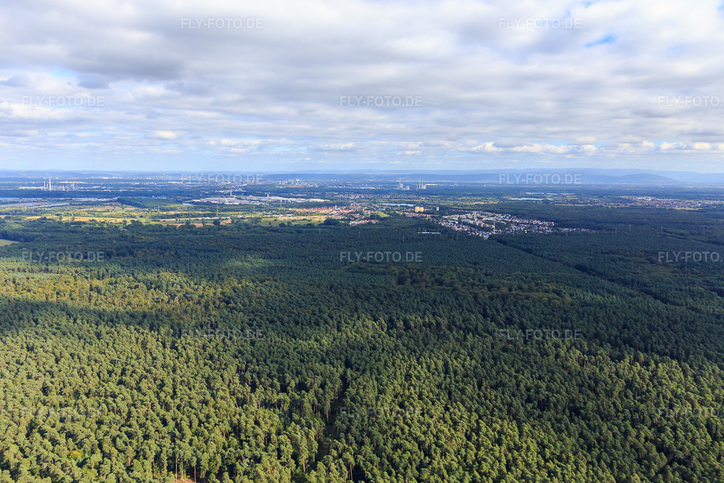 Luftbild: Bienwald vor dem Ortsteil Dorschberg aus Norden in Wörth am Rhein im Bundesland Rheinland-Pfalz in Deutschland. Foto: IMG_093352.jpg vom 22.08.2016 durch Werner Riehm/FLY-FOTO.de