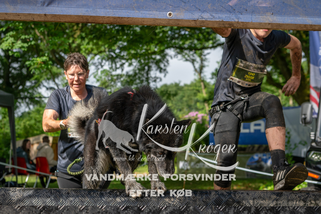 0903_ZZ93376 | kk-dogfotos