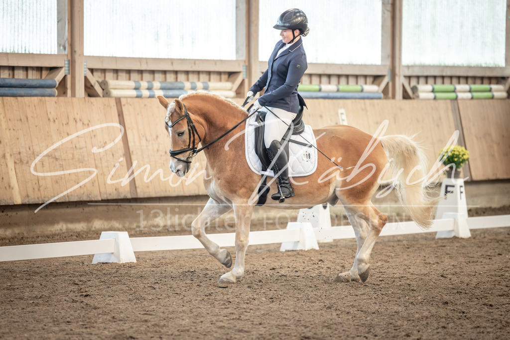 20251011-_3LI6633 | Tierfotografie Pferde, Hunde, Katzen, Haustiere.
Turnierfotografie Reitturniere, Reiten, Springreiten, Dressur in Hanau, dem Main-Kinzig-Kreis und dem Rhein-Main- Gebiet um Frankfurt